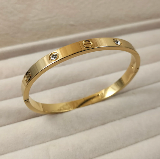 Stainless Steel Cartier Love Bangle