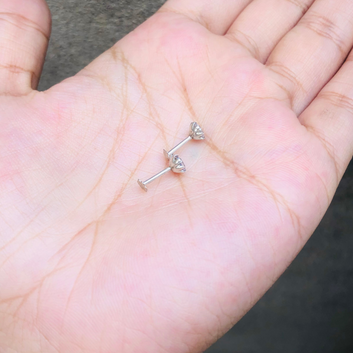 Chandi Small Ear studs (4mm)